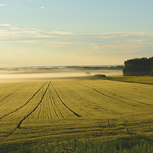 農業(yè)大棚溫濕度監(jiān)控系統(tǒng)如何進行升級呢？